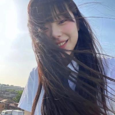 叛碟